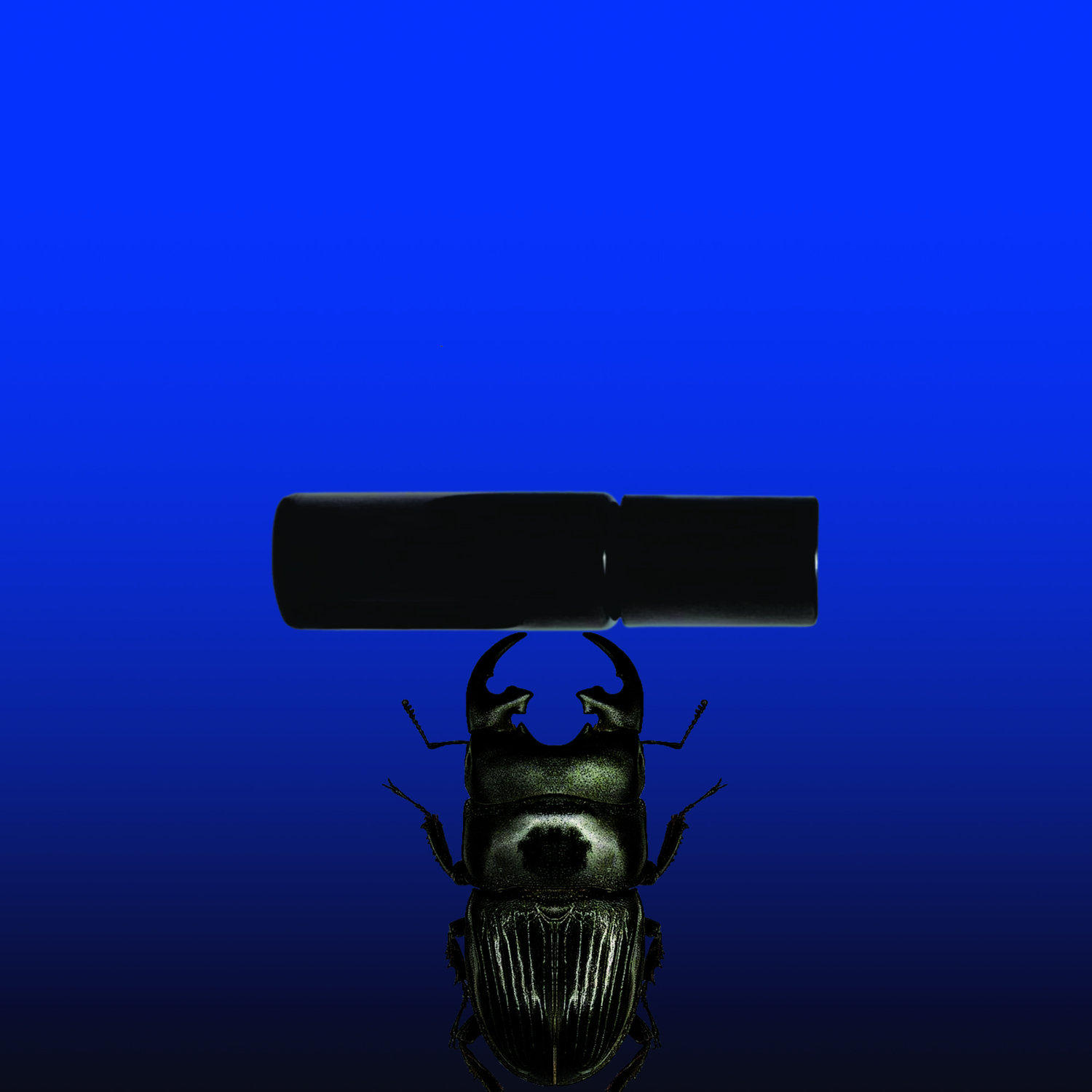 tepluste_Hinoki Noir Collection_Pure Scent_Beetle