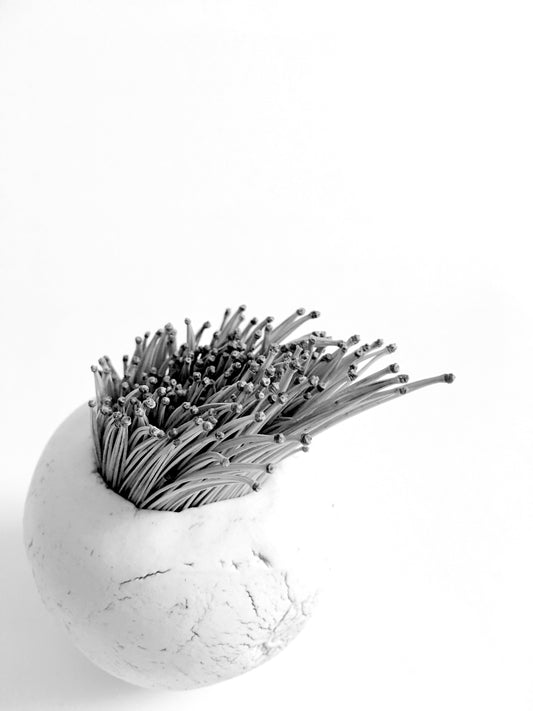 black and white image of small porcelain vase with nature arrangement