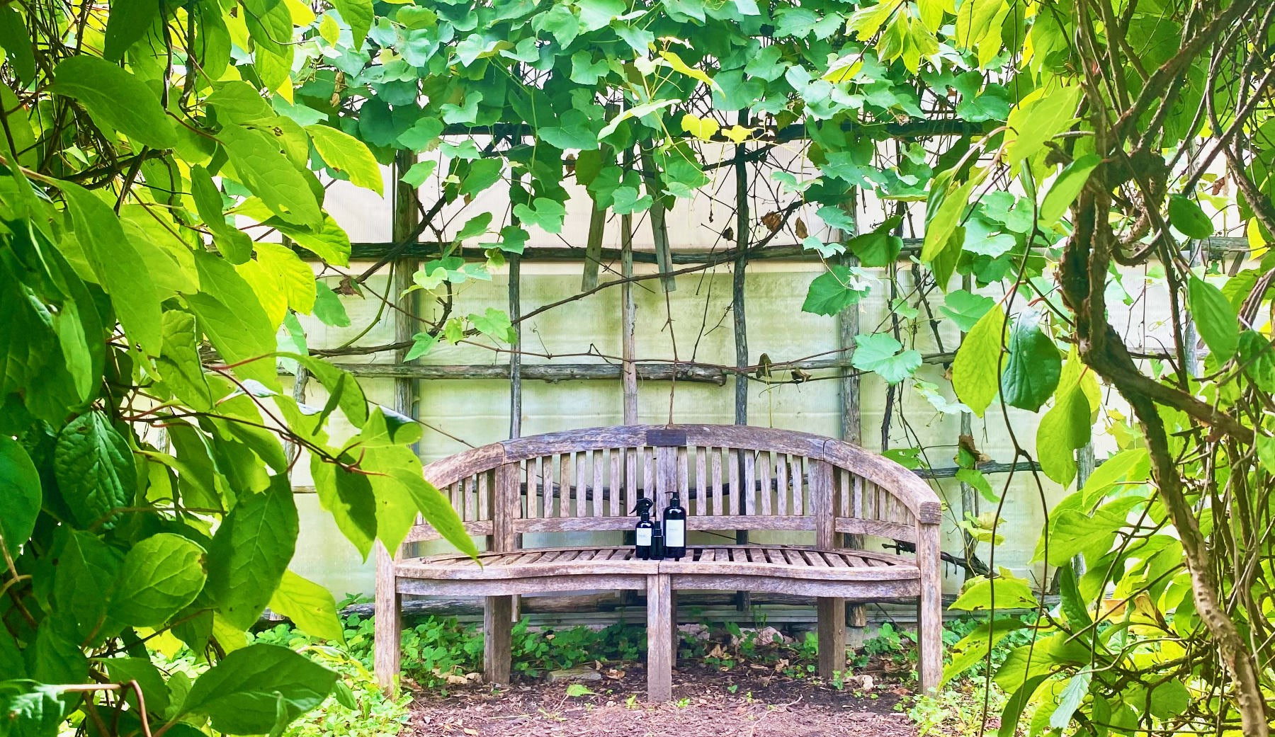 Wooden bench with two Hinoki bottles on, under a canopy of green leaves in a garden setting