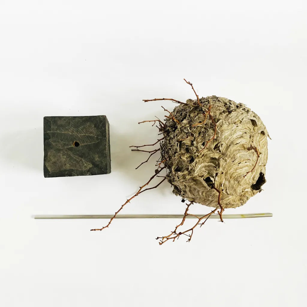 Natural paper hive sculpture with removable stand-TE PLUS TE