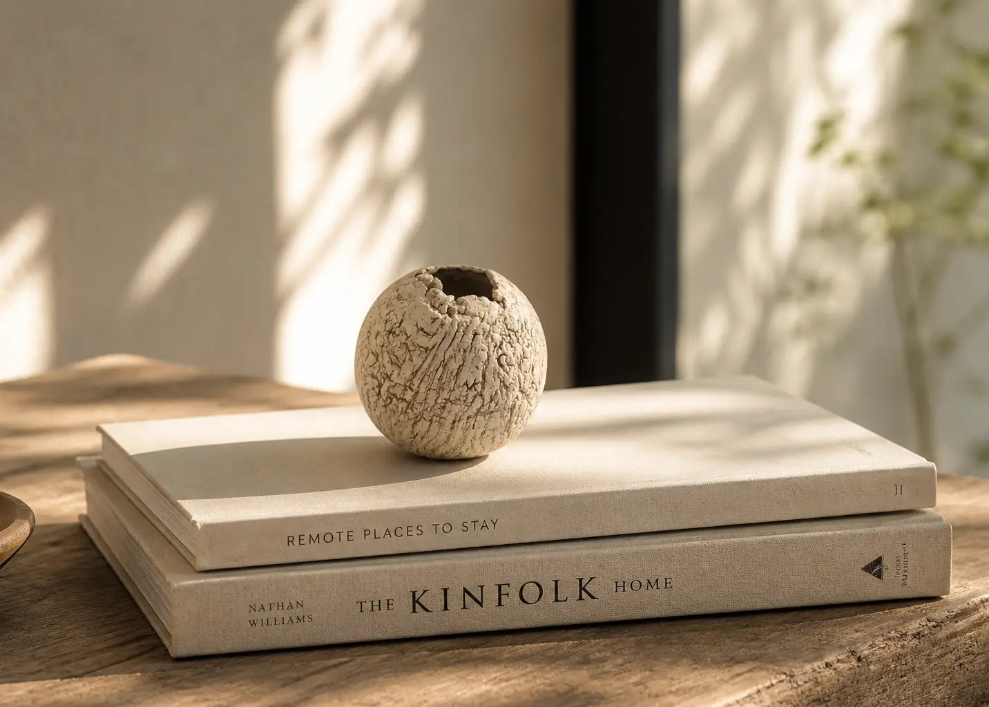 Two books stacked on a surface with a textured spherical object on top, set against a neutral background.