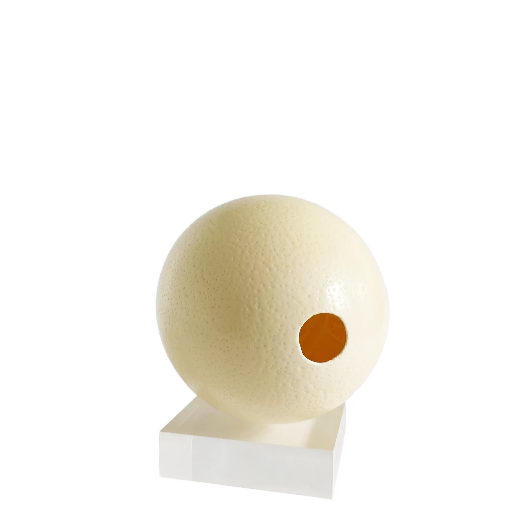 Round ostrich egg shell  object with a side view showing a hole on a white base against a white background-TE PLUS TE Iconic Objects