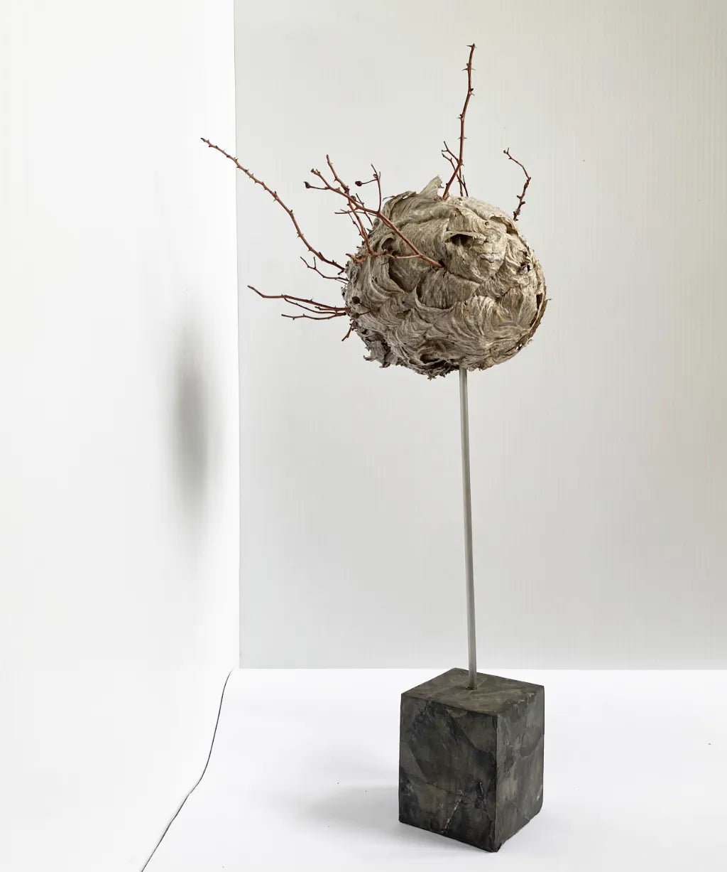 Sculptural wild hive object with paper-covered wood base — TE PLUS TE