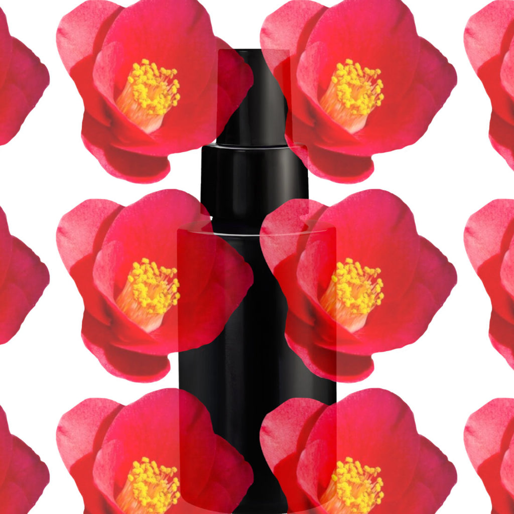 Botanical graphic image of Red Tsubaki Camellia flowers on a minimalist product background — TE PLUS TE