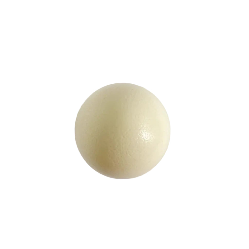 genuine ostrich egg shell on top view-TE PLUS TE 