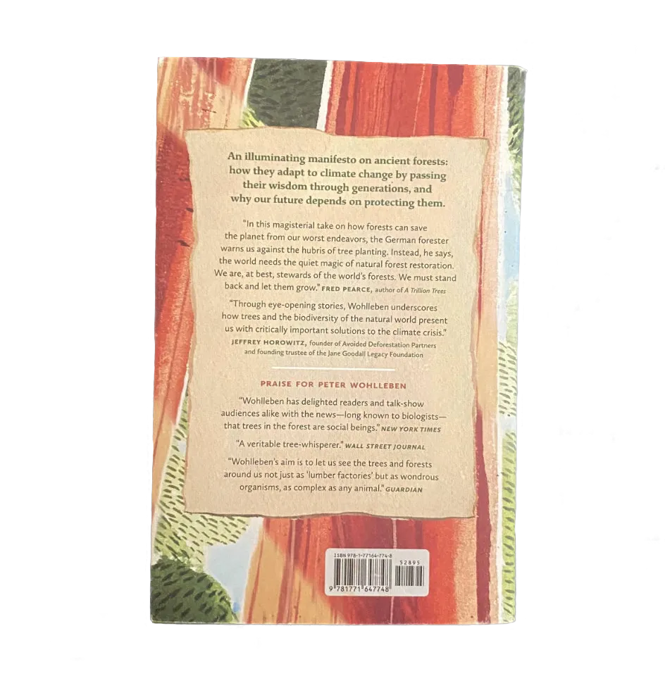 Back cover of a book with text and a colorful design