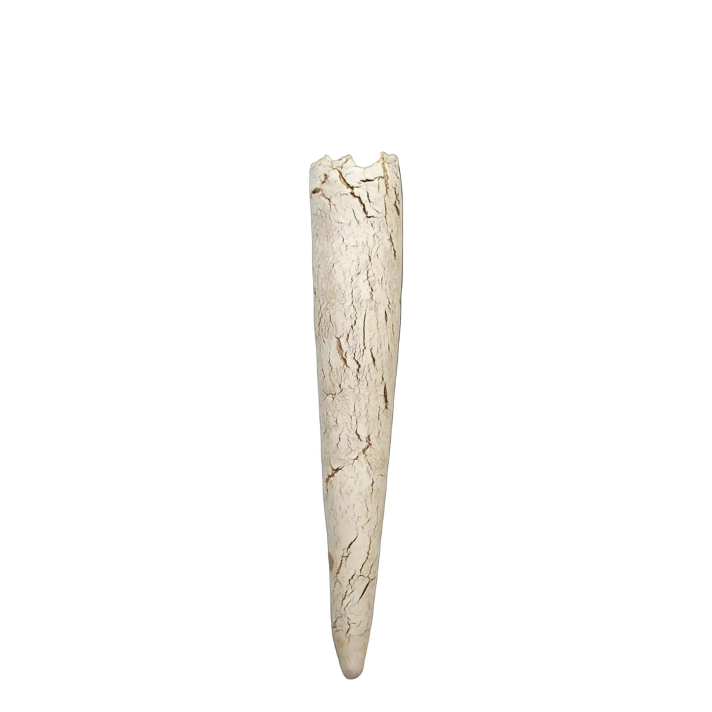 porcelain wall sconce vase