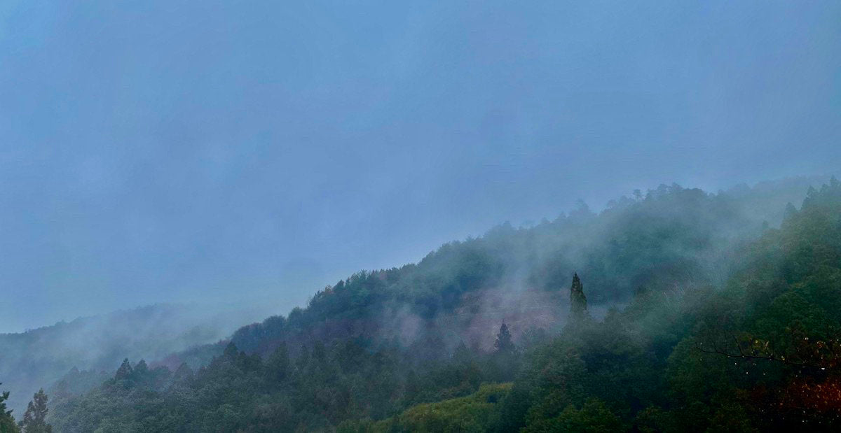 tepluste-banner image yoshino mountain view