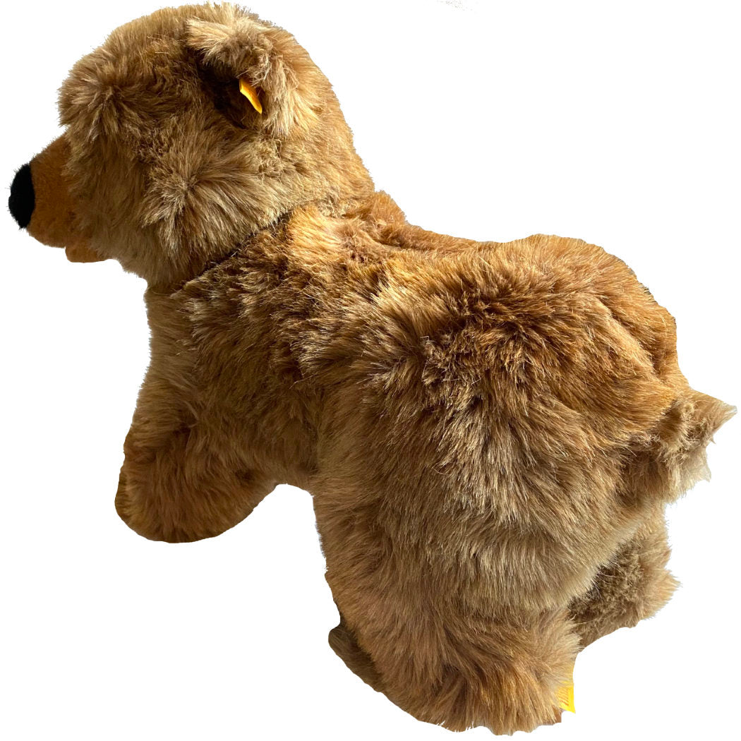 Molly steiff teddy store bear